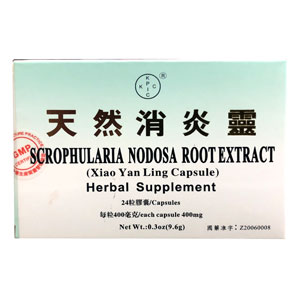 Scrophularia Nodosa Root Extract (Xiao Yan Ling)