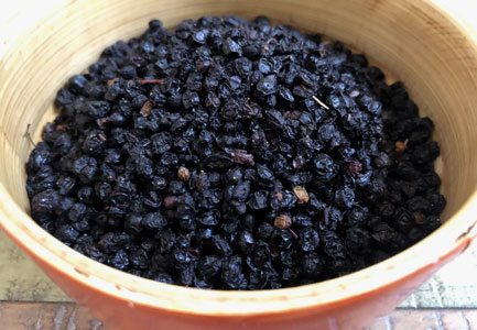 Elderberry