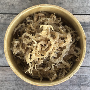 Sea Moss